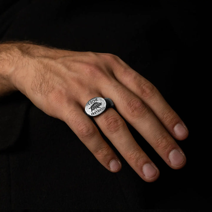 Legio X Fretensis II