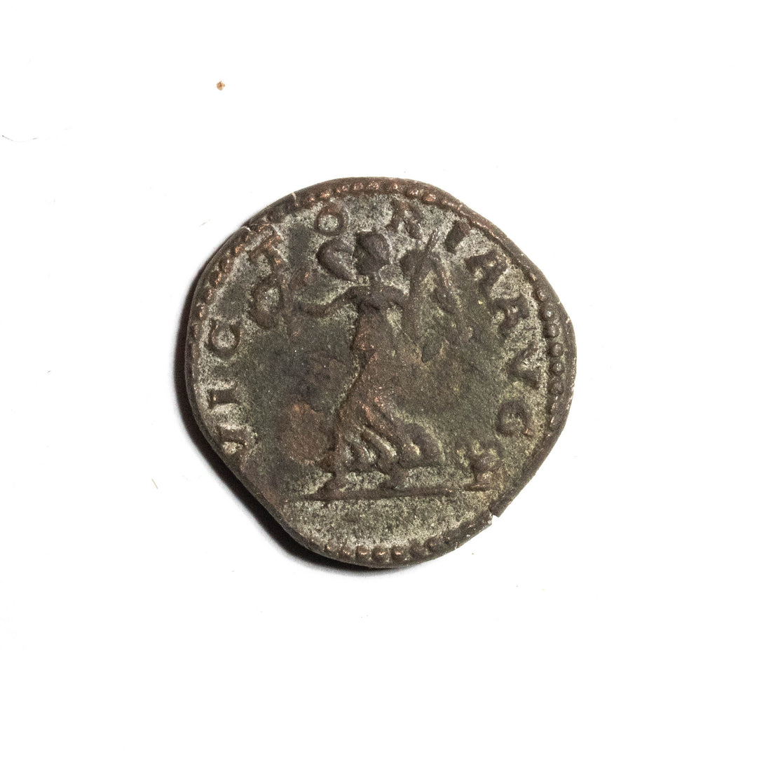 Medallion - AE - Pisonvs