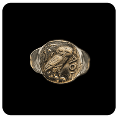 Owl in Bronze - SPQR SHOP