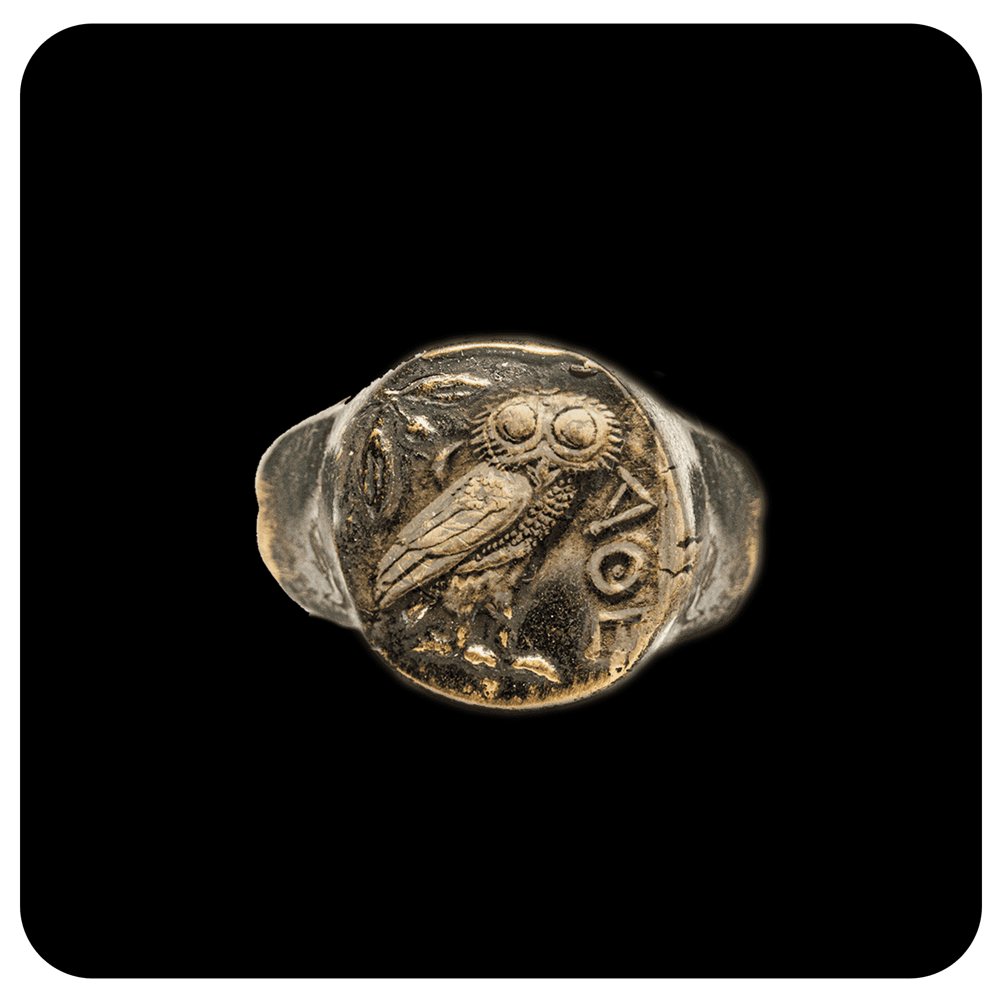 Owl in Bronze - SPQR SHOP