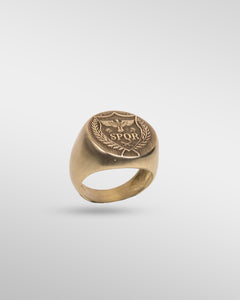 Legio SPQR XV in Bronze - SPQR SHOP