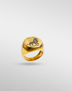 Legio XIII Gemina in Gold - SPQR SHOP
