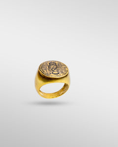 Owl II in Gold - SPQR SHOP