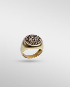 Celtic Shield in Bronze - SPQR SHOP