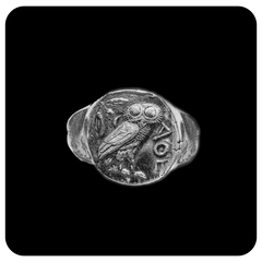 Owl in Silver - SPQR SHOP