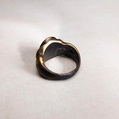 Legio I Adiutrix with Pegasus - SPQR SHOP